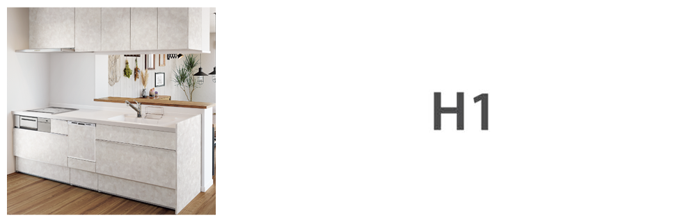 H1